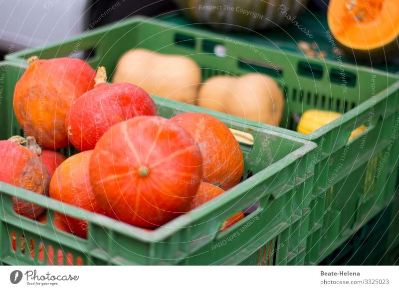 Tempting delicacies 1 Delicacies Pumpkin Vegetable Autumn Eating Healthy Yellow Vegetarian diet Orange Colour photo Food