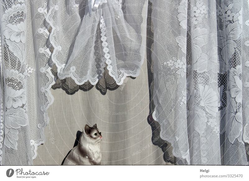 nostalgic porcelain curtain and cat at the window Vacation & Travel Window Caravan Decoration Kitsch Odds and ends Porcelain cat Curtain Hang Looking Sit