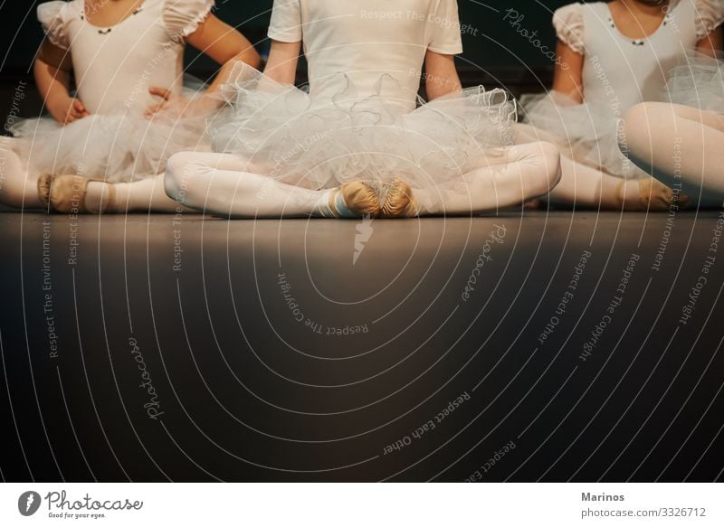 Closeup legs of ballerinas during a performance.Ballet dancers. Elegant Beautiful Dance Woman Adults Art Dancer Footwear Modern Black White performer Classic