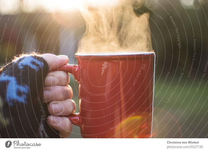 Hand holding red cup with steaming drink against the light Beverage Hot drink Tea Mulled wine Mug Woman Adults Fingers 1 Human being 45 - 60 years Garden