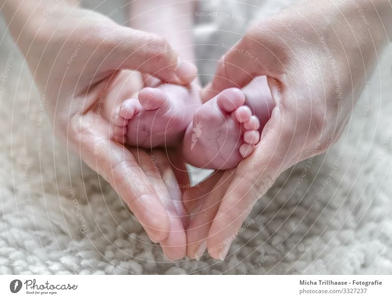 baby's happiness Child Human being Masculine Feminine Baby Toddler Girl Boy (child) Woman Adults Man Parents Mother Father Family & Relations Skin Hand Fingers