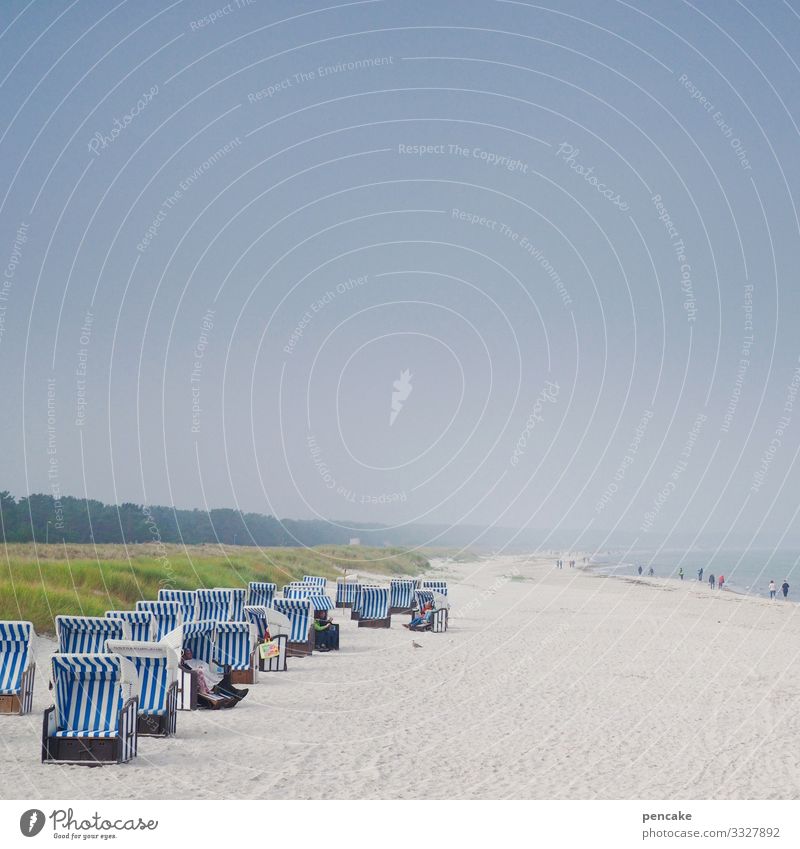 nachbarschaften | zu mir oder zu dir? Ostsee Darß Strandkorb Sand Nachbarschaften Urlaubsbekanntschaft Sommer