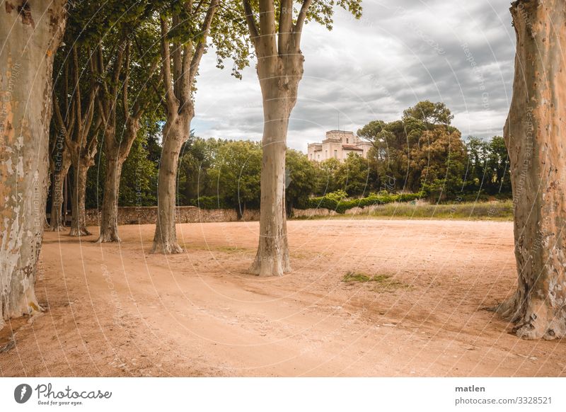 old villa Avenue avenue trees Villa Sand Clouds in the sky Lanes & trails Brown Green Gray Catalonia