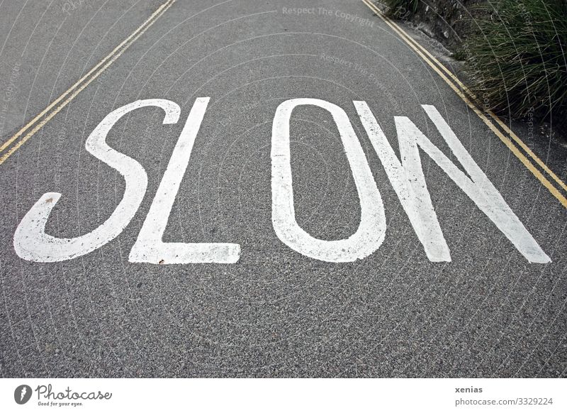 slow - white writing on grey road Street Asphalt England Transport Traffic infrastructure Yellow Gray White Slowly 30 mph zone Subdued colour Copy Space top