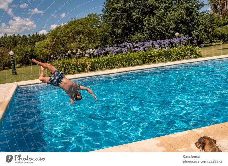 Dive headfirst into the cold water Summer Sun be afloat Swimming & Bathing Water Relaxation Vacation & Travel Joy bathe Swimming pool Refreshment Wet