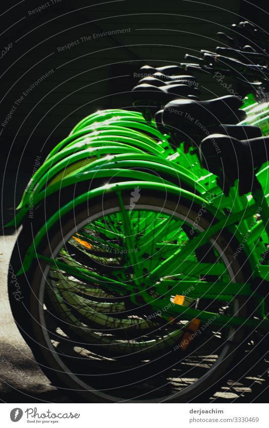 Bicycles all in green. You can only see the rear wheels or the saddles. Design Life Fitness Sports Training Cycling Environment Summer Beautiful weather