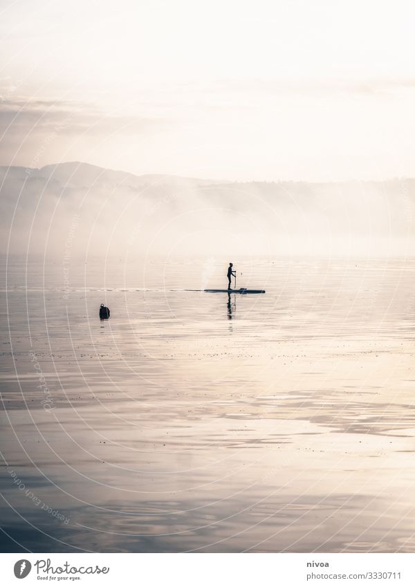 Stand up Paddling Stand Up Paddleboarding stand up Lake zurich winter Exterior shot Water Day Reflection Nature 1 Misty atmosphere Fog nice weather