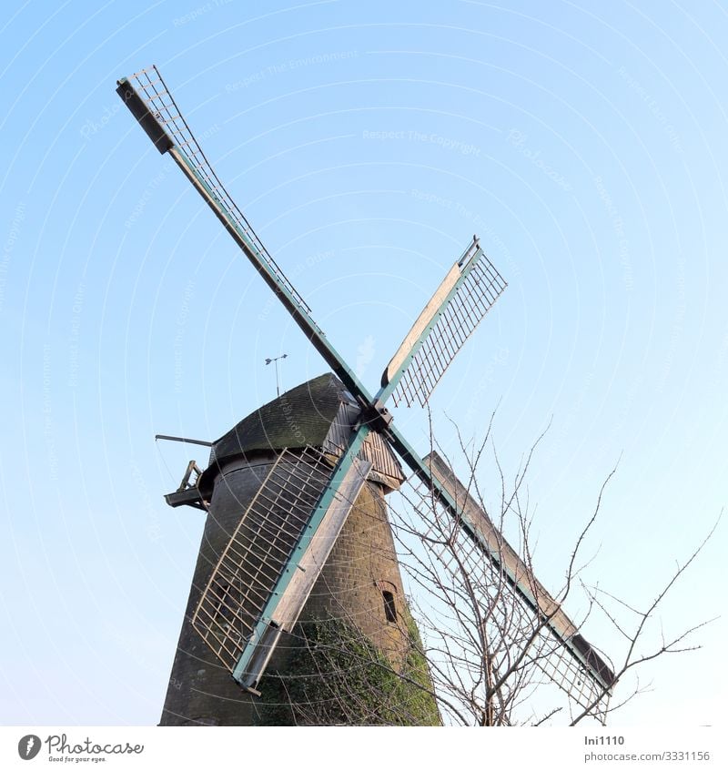Cap windmill with cherry tree Wind energy plant Winter Field Manmade structures Wall (barrier) Wall (building) Tourist Attraction Monument Windmill Power