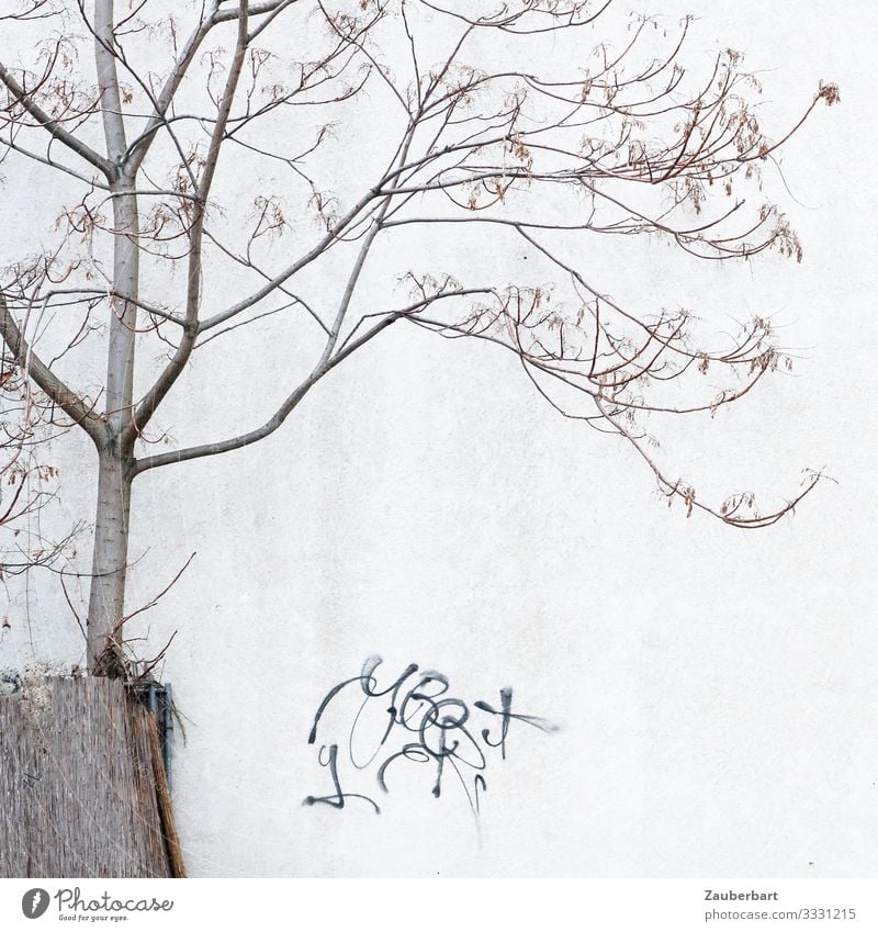 Filigree tree, wall and graffiti Graffiti Tree Berlin House (Residential Structure) Wall (barrier) Wall (building) Sign Stand Gray Modest Exhaustion Bizarre
