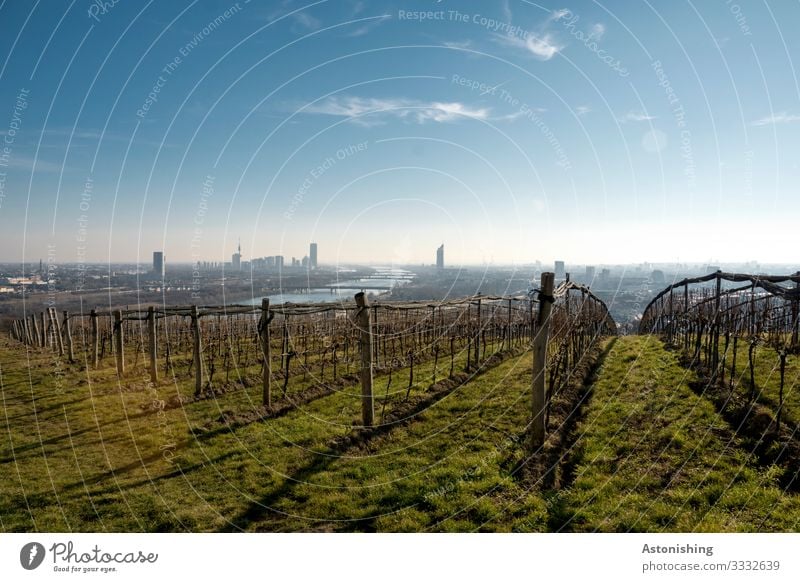 View of Vienna Environment Nature Landscape Plant Air Sky Clouds Horizon Autumn Weather Beautiful weather Bushes Agricultural crop Vine Meadow Hill River Danube