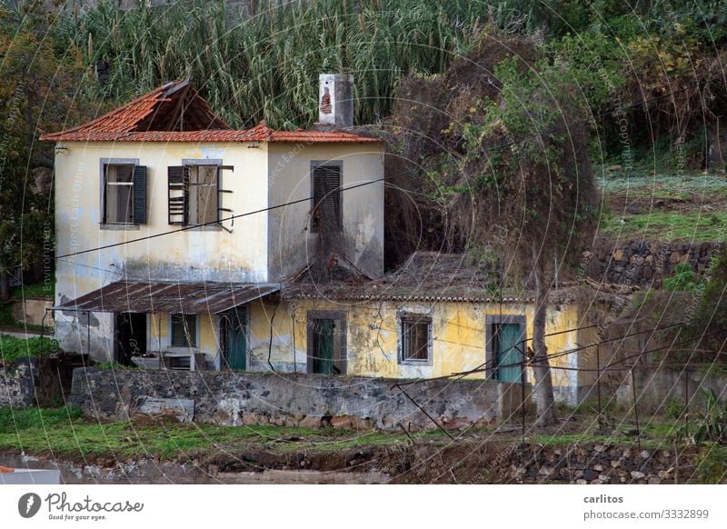 The ravages of time Portugal Madeira Funchal House (Residential Structure) Old Derelict Redecorate Modernization Past Decline Ruin Country house Villa