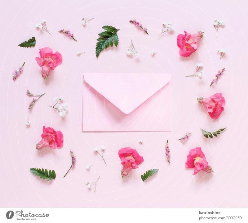 Flowers and pink envelope on a light pink background Design Decoration Wedding Woman Adults Mother Above Pink Creativity flat lay romantic Conceptual design