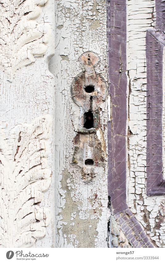 Door and gate (4) House (Residential Structure) Old Exterior shot Front door Day Colour photo Old town Wooden door Closed Detail Subdued colour Derelict