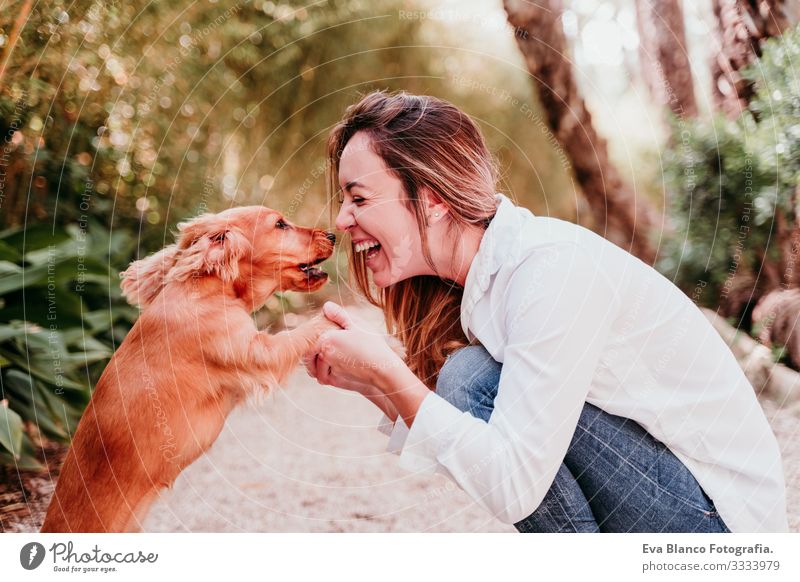 young woman and her cute puppy of cocker spaniel outdoors in a park Woman Dog Pet Park Sunbeam Exterior shot Love Embrace Smiling Kissing Breed Purebred