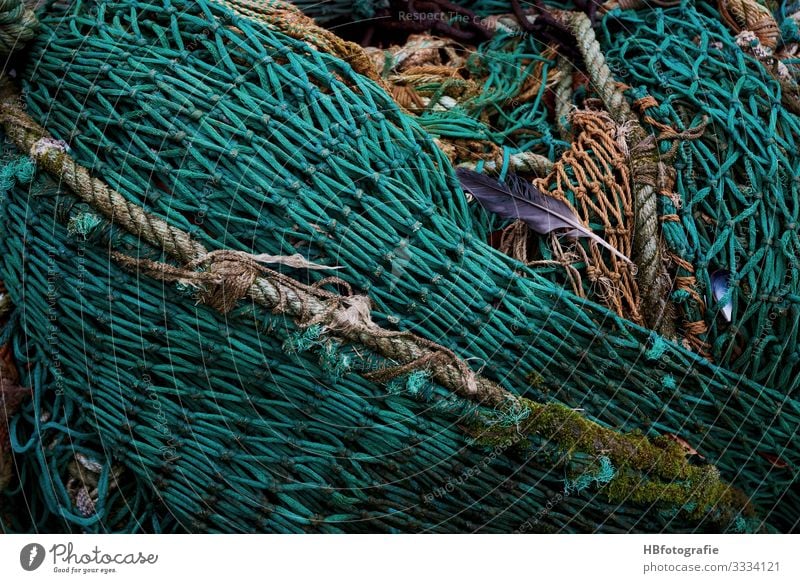 net Net Catch Green Fishing net Feather Fishery Fisherman Colour photo Exterior shot Abstract Pattern Structures and shapes
