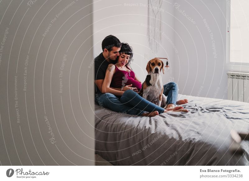 young couple at home hugging. Happy Pregnant woman smiling. cute beagle dog besides Couple Love Woman Parents expecting Home Sofa Embrace Kissing parenthood