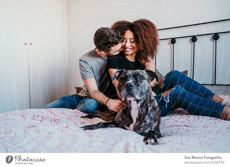 happy couple in love at home. Afro american woman, caucasian man and their pit bull dog together. Family concept Couple Love African-American Ethnic Woman Home