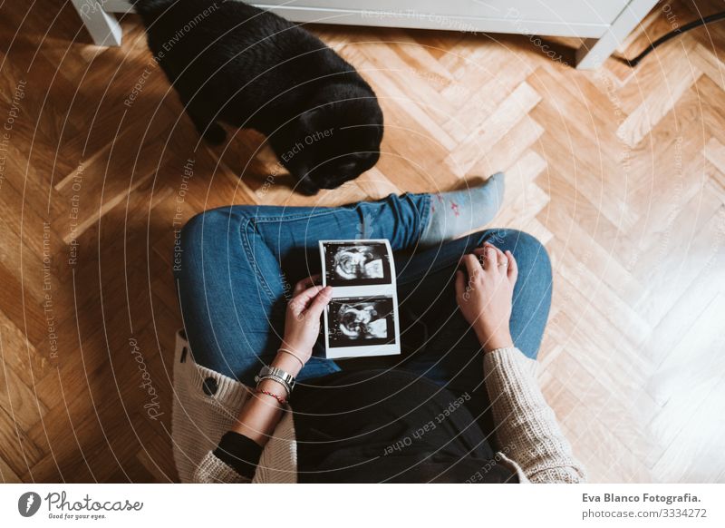 young pregnant woman at home with black cat. woman holding a baby ultrasound Pregnant Woman Youth (Young adults) pregnancy Home maternity Life