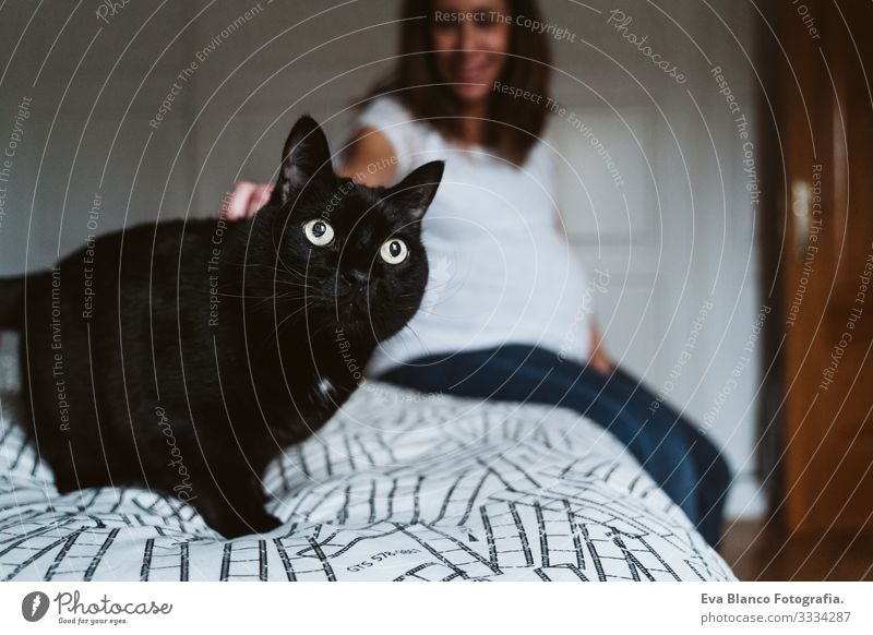 young pregnant woman at home. beautiful black cat besides Pregnant Woman Youth (Young adults) pregnancy Home maternity Life Showing one's bellybutton Relaxation