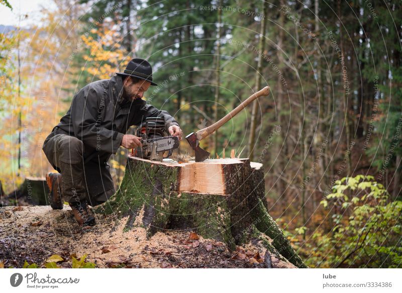 Lumberjacks 2 Work and employment Profession Agriculture Forestry Man Adults Environment Nature Tree Forester Woodcutter Tree felling ranger Colour photo
