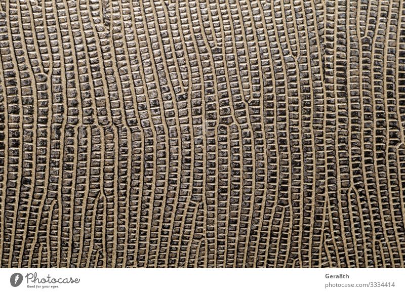 texture of brown leather surface macro closeup Leather Brown background blank detailed skin background skin pattern skin texture Consistency Close-up