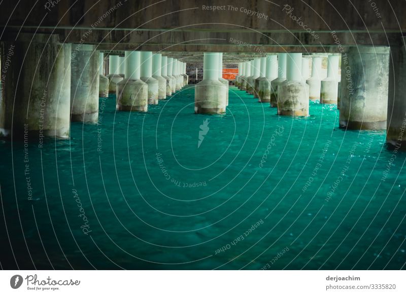 View under the bridge with many concrete piers. The water is turquoise. Style Harmonious Trip Bridge construction Environment Summer Beautiful weather River