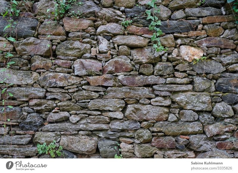 A stone wall Manmade structures Wall (barrier) Wall (building) Facade Stone Old Firm Gray Protection Subdued colour Exterior shot Deserted Copy Space left