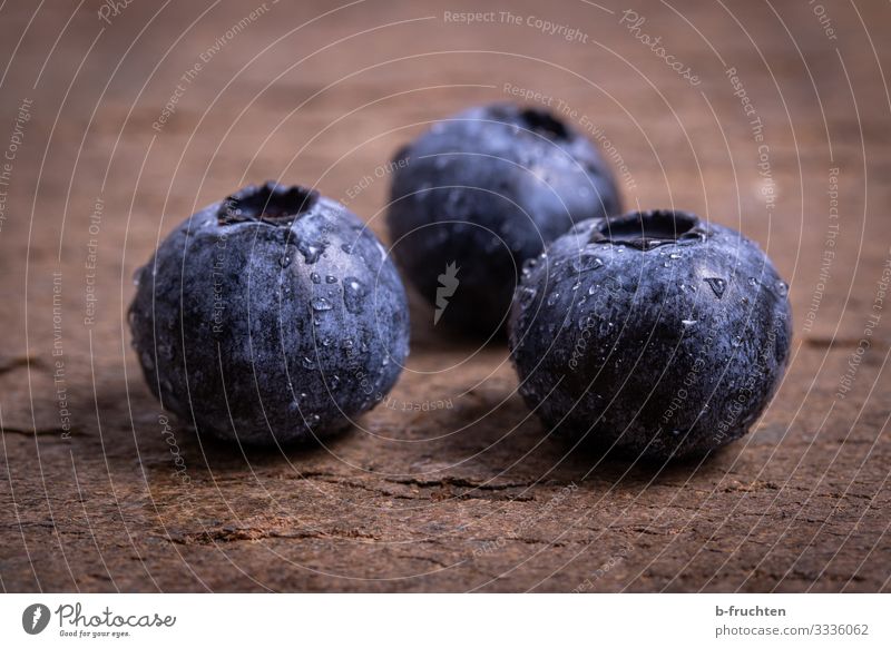 blueberries Food Fruit Organic produce Vegetarian diet Lifestyle Shopping Healthy Healthy Eating To enjoy Fresh Blue Blueberry Berries Macro (Extreme close-up)