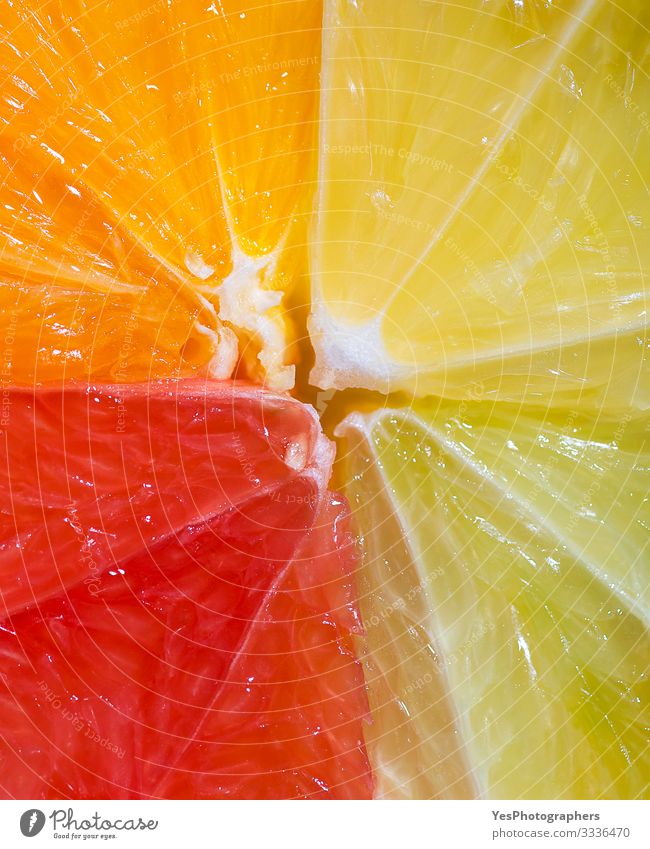 Citrus fruit section mix. Details of summer fruit. Fruit Orange Fresh Multicoloured above view cheerful Citrus fruits citrus mix colorful Conceptual design