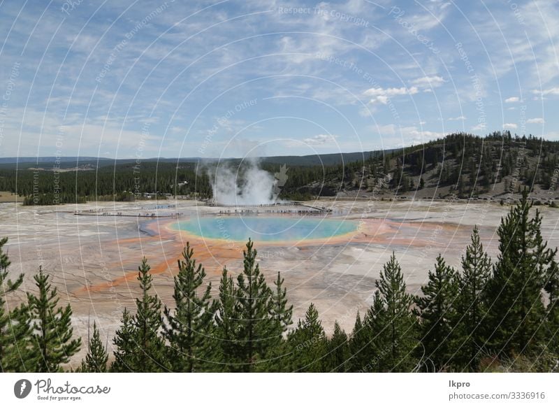 yellowstone national park the nature Swimming pool Vacation & Travel Tourism Mountain Nature Landscape Park Forest Volcano Hot Natural Yellowstone National Park