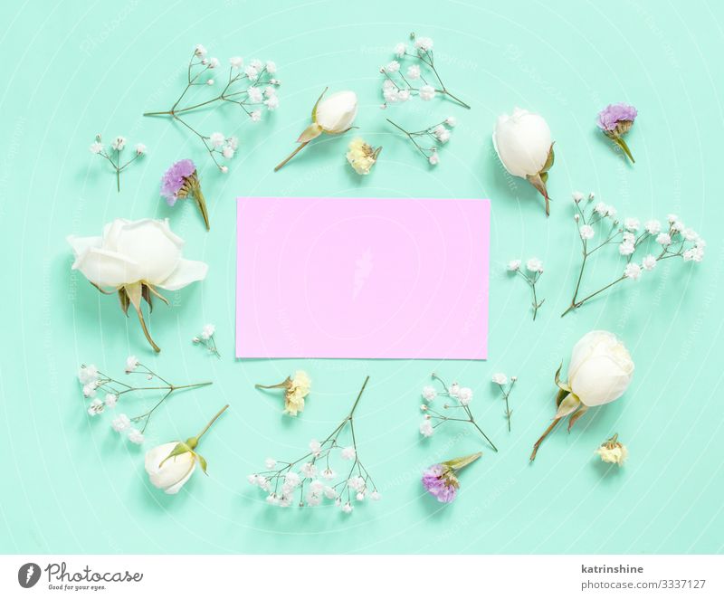 Flowers and pink paper on a light green background Decoration Wedding Woman Adults Mother Musical notes Rose Paper Above Green Pink White Creativity romantic