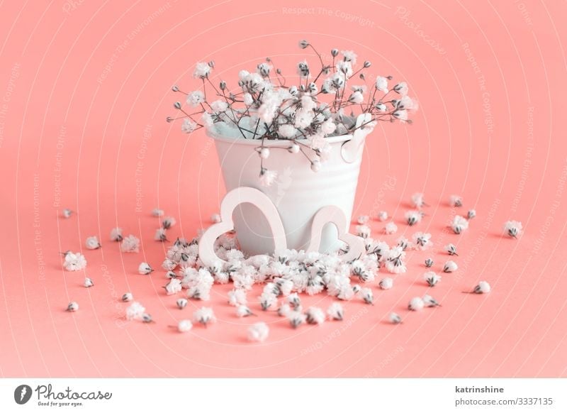 Download Small White Flowers And Hearts On A Pink Background A Royalty Free Stock Photo From Photocase