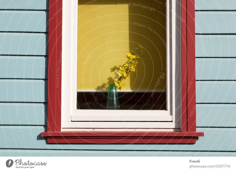 Spring in the window Living or residing Decoration Flower Blossom Facade Window Vase Roller blind Wood Multicoloured Yellow Spring fever Shadow Colour photo