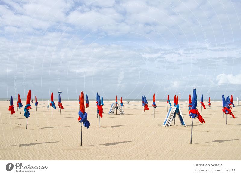 red and blue Relaxation Vacation & Travel Tourism Summer Summer vacation Sun Sunbathing Beach Ocean Sunshade Beautiful weather Coast Normandie Deauville