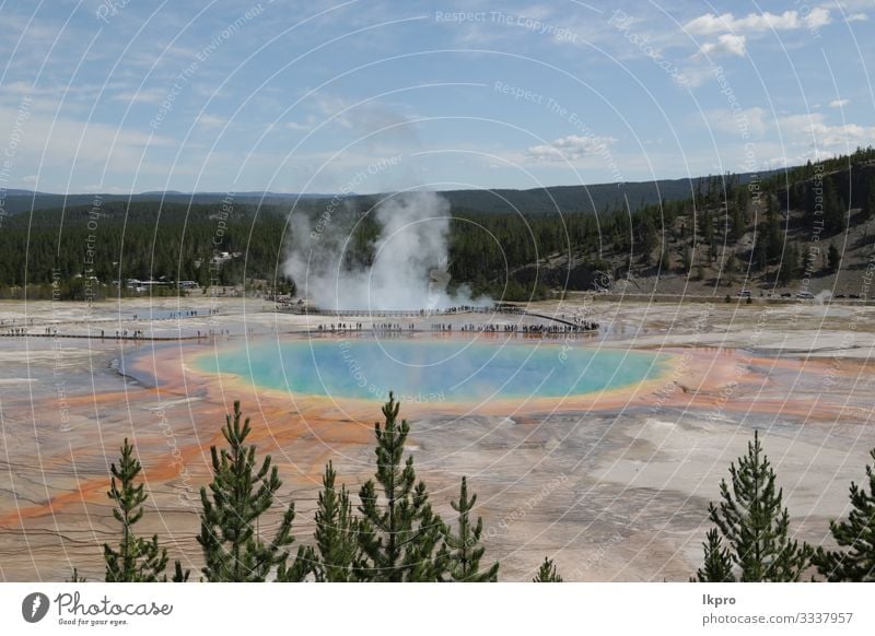 yellowstone national park the nature Swimming pool Vacation & Travel Tourism Mountain Nature Landscape Park Forest Volcano Hot Natural Yellowstone National Park