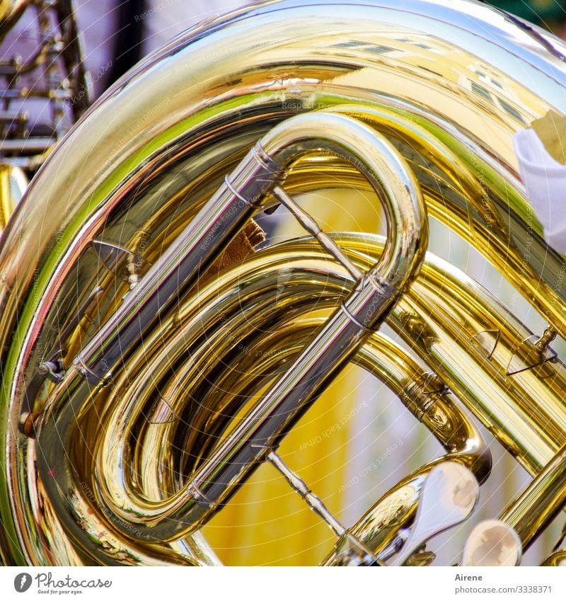 take a deep breath Music Orchestra Cor anglais Wind instrument Brass instrument Brass band Yellow Gold Tin Blow Make music Crash Loud March Parade Rhythm Deep