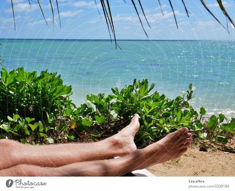 There's only the feet of a man sunbathing on the beach Masculine Young man Youth (Young adults) Legs Feet 1 Human being 18 - 30 years Adults Nature Water Sun