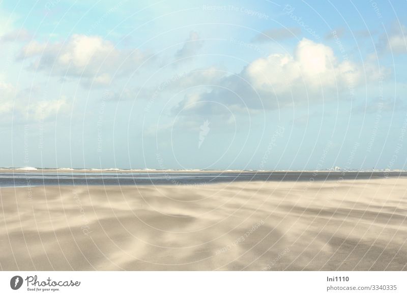 Sand drift on the beach on Juist in good weather with clouds and blue sky Nature Landscape Earth Water Sky Clouds Horizon Autumn Beautiful weather coast Beach