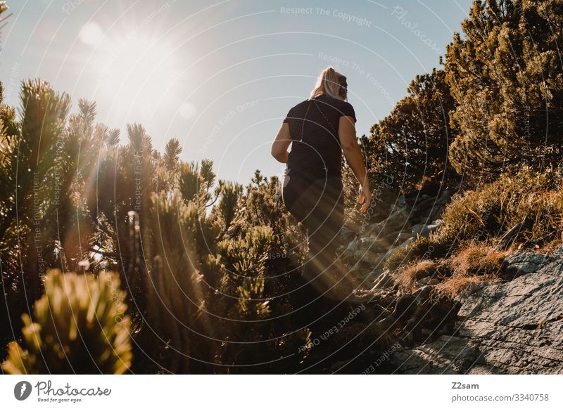 Hiking on the Brecherspitz crusher tip sharpened Woman sunshine Back-light shrubby ascent sunbeam Young woman Warmth Autumn Alps Sports Athletic Sky