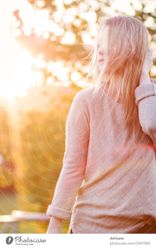 sunlight Sunlight Light Back-light Nature Colour photo Exterior shot Deserted Sunrise Sunbeam Beautiful weather Sunset Twilight Plant Summer Sky Landscape