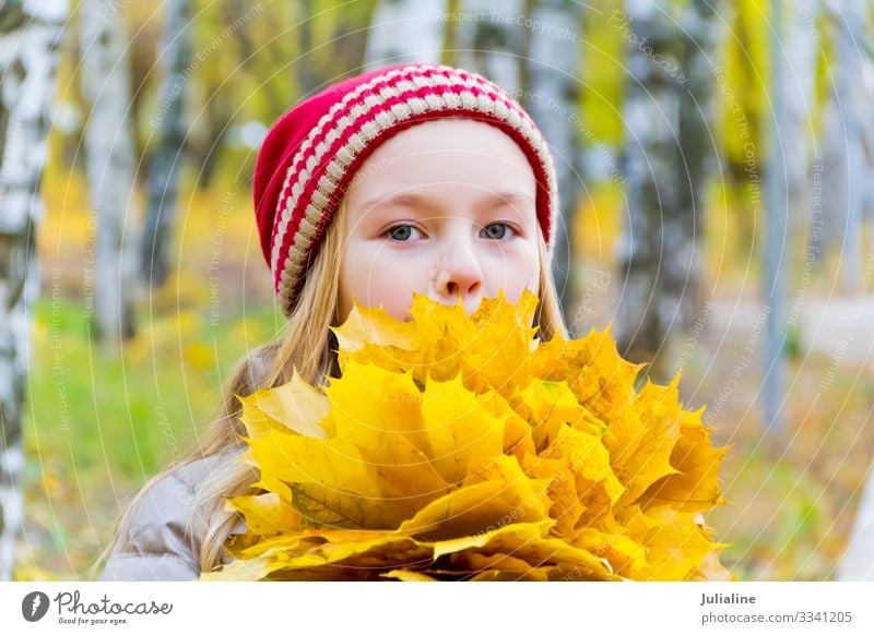 Girl with bouquet from sheets Herbs and spices Child Schoolchild Woman Adults Infancy Plant Autumn Leaf Hat Blonde Cute Red White girl Lady Caucasian European