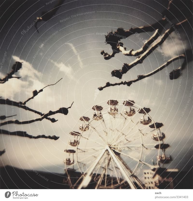 Have a good time Fairs & Carnivals Sky Clouds Beautiful weather Plant Tree Branch Town Ferris wheel Amusement Park Feasts & Celebrations Joy Analog Slide