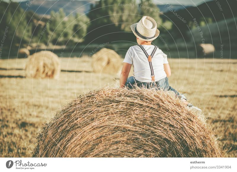 Back view of a Pensive child in the straw field Lifestyle Vacation & Travel Summer Human being Masculine Child Infancy 1 8 - 13 years Nature Landscape
