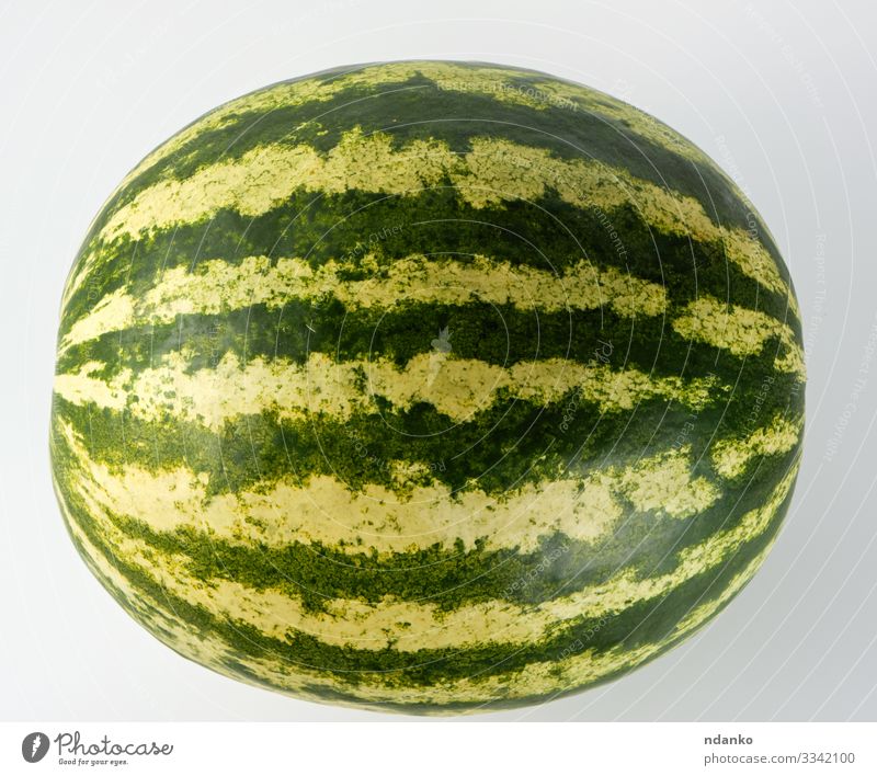 big green striped whole watermelon Fruit Dessert Nutrition Eating Vegetarian diet Diet Summer Nature Fresh Large Juicy Green Red White Water melon agriculture