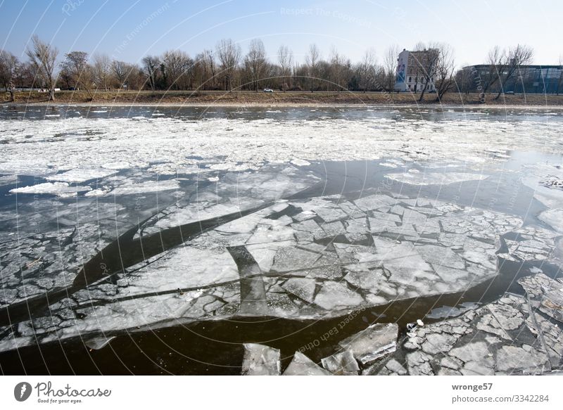 Ice Age | not current Environment Water Winter Beautiful weather Frost River Elbe Blue Black White Ice floe River bank Colour photo Subdued colour Exterior shot