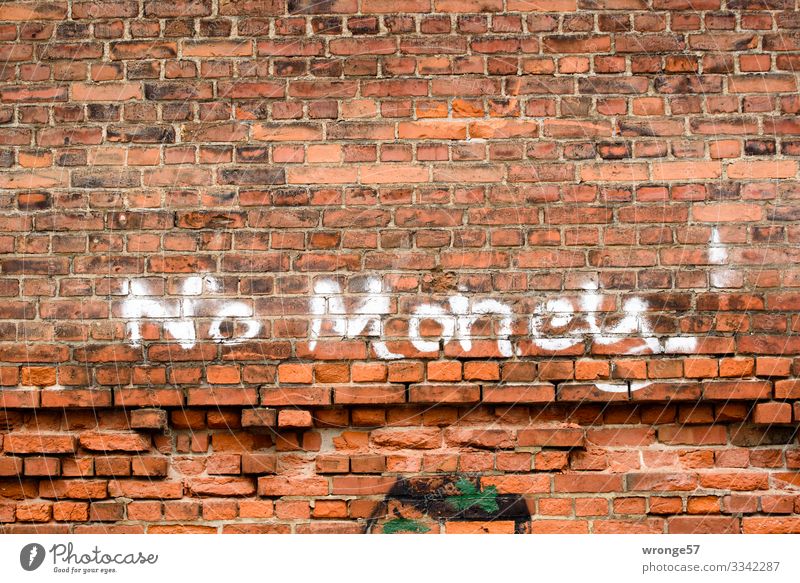 Nothing going on without moss Factory Wall (barrier) Wall (building) Stone Characters Town Brown Red White Brick wall Graffiti Money Landscape format