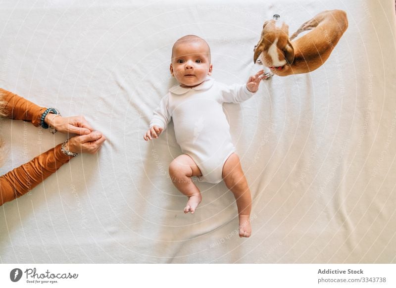 Little baby lying on bed playing with dog infant newborn home adorable curious child calm small cute kid sweet pajama casual innocent peaceful open mouth