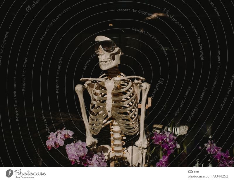 Death in the flower field Body 1 Human being Fashion Sunglasses Cap Smiling Stand Creepy Senior citizen Surrealism Mountain bike Flower Skeleton Death's head