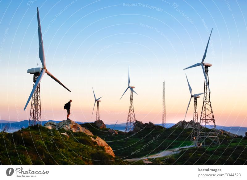 Wind farm in sunset Sun Industry Technology Energy industry Renewable energy Wind energy plant Human being Man Adults Environment Nature Landscape Plant Sky