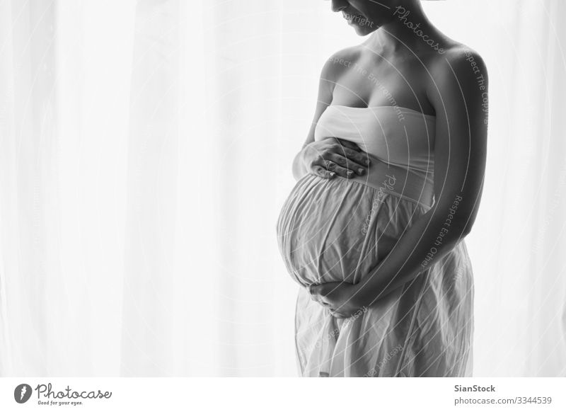 Young beautiful pregnant woman standing near the window Lifestyle Happy Beautiful Body Human being Baby Woman Adults Mother Hand Dress Touch Love Sit Pregnant